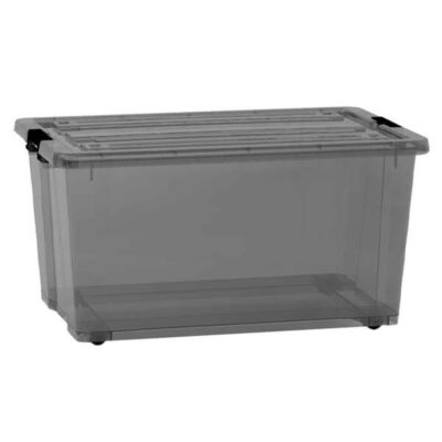 TNS ΚΟΥΤΙ ΑΠΟΘΗΚΕΥΣΗΣ ΔΙΑΦΑΝΕΣ 40lit (56,5x38x23,8cm) - (C0035)