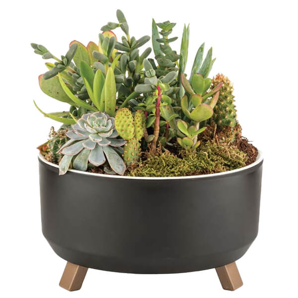 TNS ΠΛΑΣΤΙΚΗ ΚΑΣΠΟ ΤΡΙΠΟΔΟ Νο1 0,70lit - (ALY-641)