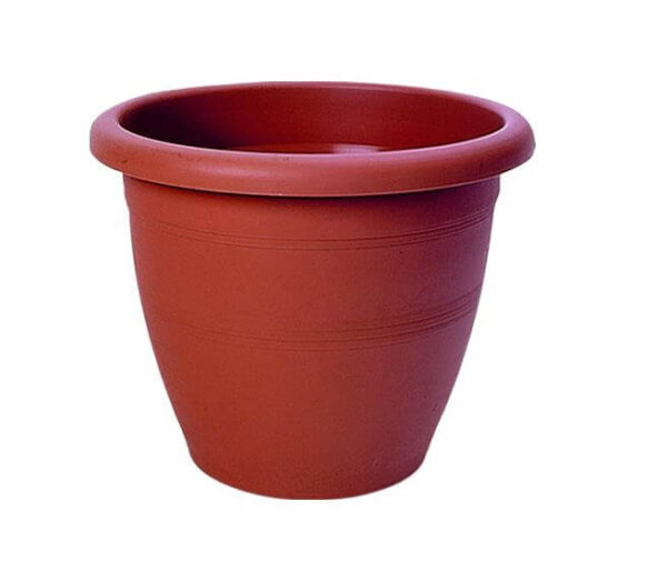 ΚΥΚΛΩΨ ΓΛΑΣΤΡΑ Νo 332 - (ΤΕΡΑΚΟΤΑ)