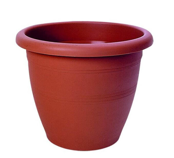 ΚΥΚΛΩΨ ΓΛΑΣΤΡΑ Νo 335 - (ΤΕΡΑΚΟΤΑ)