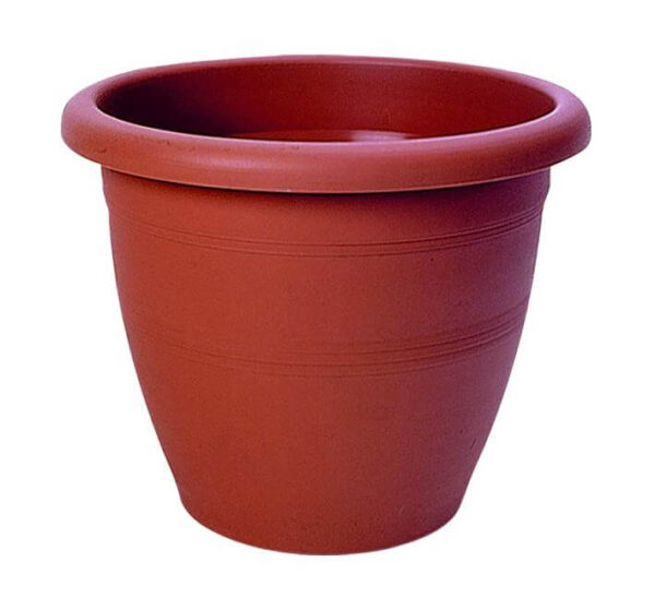 ΚΥΚΛΩΨ ΓΛΑΣΤΡΑ Νo 336  - (ΤΕΡΑΚΟΤΑ)