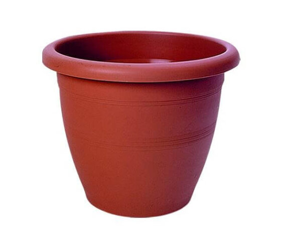 ΚΥΚΛΩΨ ΓΛΑΣΤΡΑ Νo 329 - (ΤΕΡΑΚΟΤΑ)