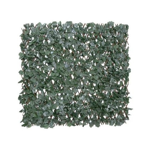 ΑΝΑΡΡΙΧΟΜΕΝΟ ΚΙΣΣΟΣ ΜΕ ΠΕΡΓΚΟΛΑ 1x2m.