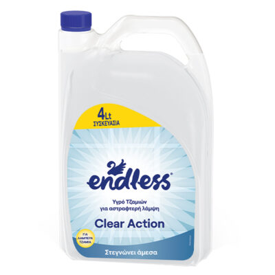 ENDLESS ΥΓΡΟ ΤΖΑΜΙΩΝ PROFESSIONAL 4lit