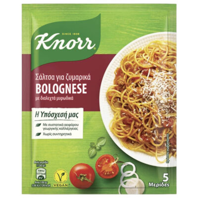 KNORR ΣΑΛΤΣΑ 60gr. - (ΜΠΟΛΟΝΕΖ)