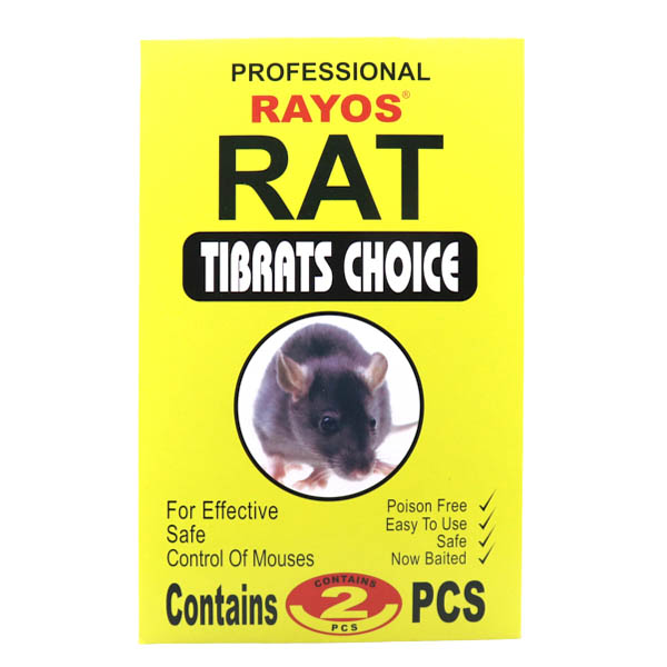 ΠΟΝΤΙΚΟΠΑΓΙΔΑ ΚΟΛΛΑ (2τεμ.)