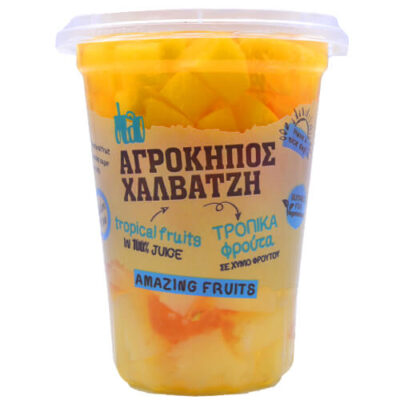 ΑΓΡΟΚΗΠΟΣ ΧΑΛΒΑΤΖΗ ΦΡΟΥΤΟΣΑΛΑΤΑ 400gr. - (ΤΡΟΠΙΚΑ ΦΡΟΥΤΑ ΣΕ ΚΥΒΟΥΣ)