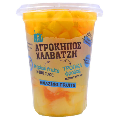 ΑΓΡΟΚΗΠΟΣ ΧΑΛΒΑΤΖΗ ΦΡΟΥΤΟΣΑΛΑΤΑ 400gr. - (ΤΡΟΠΙΚΑ ΦΡΟΥΤΑ ΣΕ ΚΥΒΟΥΣ)