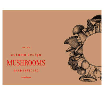 ΣΟΥΠΛΑ ΚΡΑΦΤ (30x40cm) - (500τεμ.) (ΜΑΝΙΤΑΡΙ)